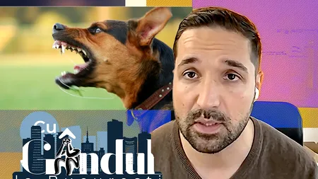 VIDEO EXCLUSIV | Ce mostre esențiale ar fi trebuit să preleveze autoritățile în 24 de ore de la câinii de pe Lacul Morii, unde a fost ucisă Ana Oros. Tudor Tim Ionescu: „Acum este tardiv”