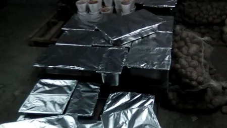 În plină CRIZĂ a CORONAVIRUSULUI: Asistații DGASPC Giurgiu, în pericol de a rămâne fără hrană! Firma care se ocupa de pregătirea mâncării, deținută de Marin Mototolea, primarul anchetat în dosarul permiselor falsificate de la Giurgiu