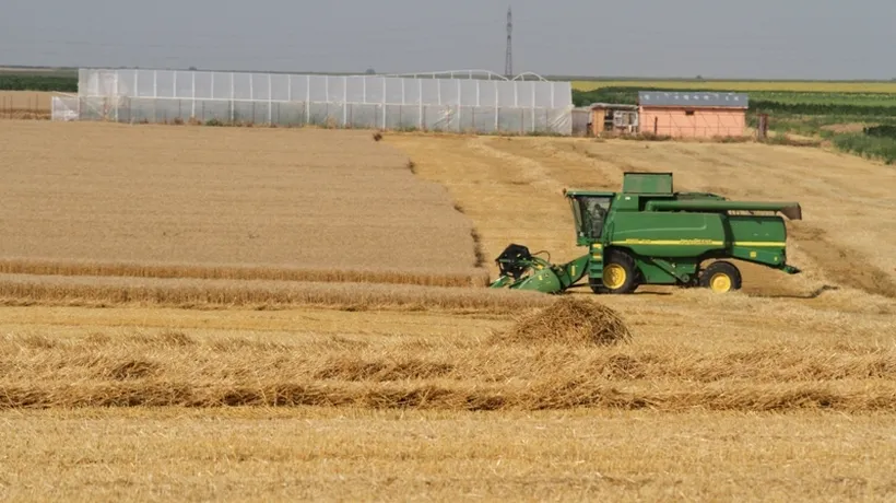 Daniel Constantin: Producția de grâu a fost în 2011 de 5,7 milioane tone, nu 7 milioane, cât anunța Tabără 