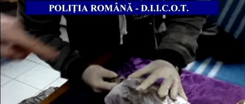 VIDEO. Poliția i-a prins pe doi tineri din Roman cu un kilogram de cannabis de Crăciun