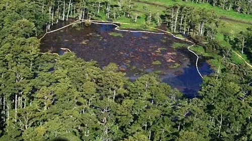 O groapă de 121 de metri adâncime a înghițit o pădure din Louisiana. Oamenii au fost EVACUAȚI și se tem de o EXPLOZIE