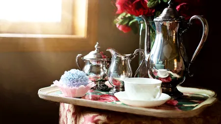 Patru ceaiuri care previn obezitatea