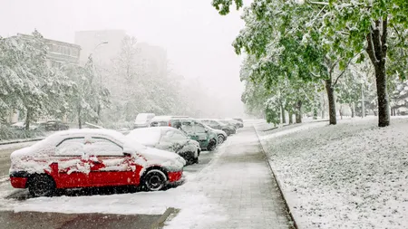 Ieftin, sigur și eficient. Cum poți verifica calitatea antigelului cu un produs de doi lei