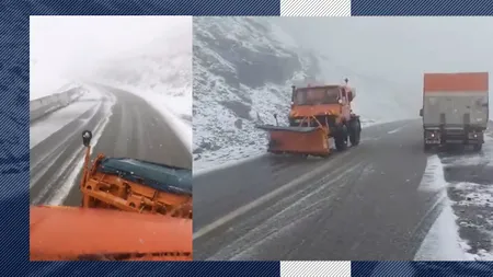 Te uită cum ninge 