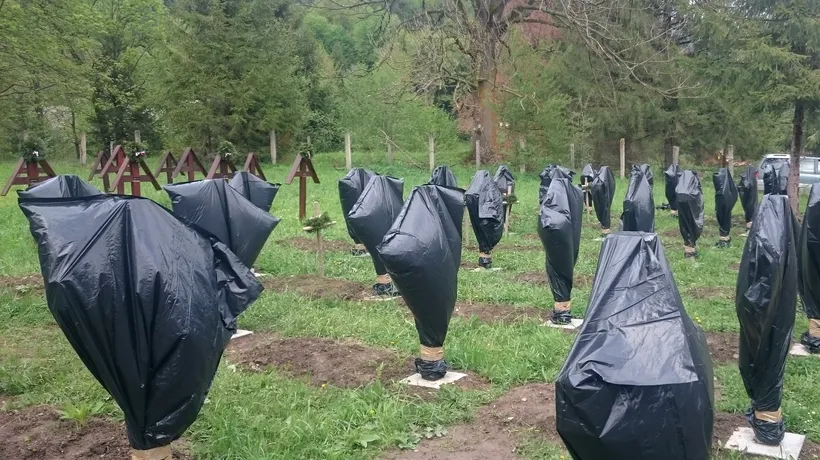 Mormintele eroilor români din cimitirul Valea Uzului, denigrate. 52 de cruci acoperite cu saci negri de plastic. Ce legătură ar avea UDMR cu acest incident 