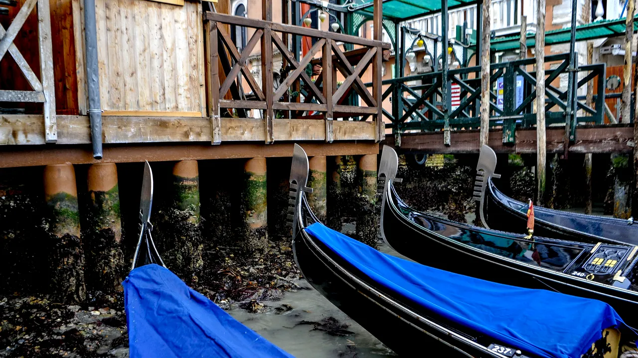 Plimbare ieftină cu gondola, cea mai nouă atracție pentru turiștii din Veneția. Poate COSTA doar 2 euro, în loc să plătești între 80 și 120 de euro