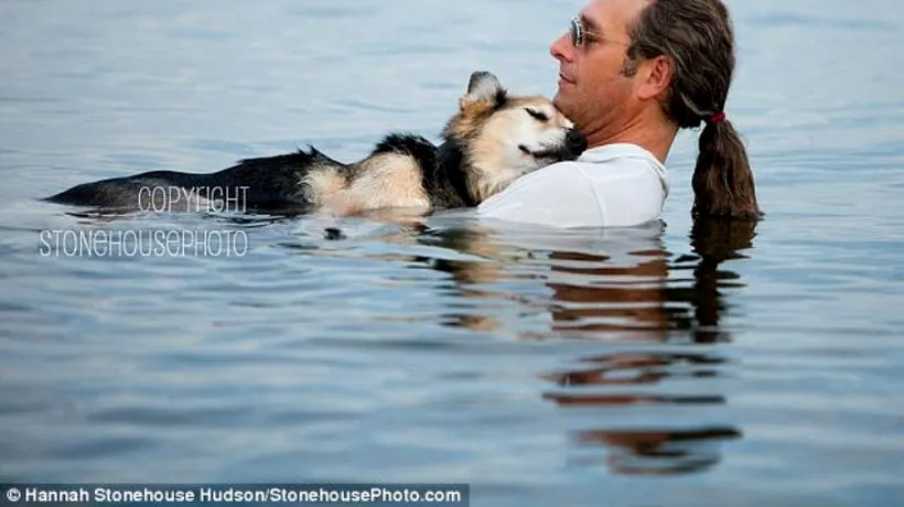Cum își adoarme un american câinele bolnav de artrită - În această poză, oamenii văd orice, de la iubire pură la speranță pentru lume