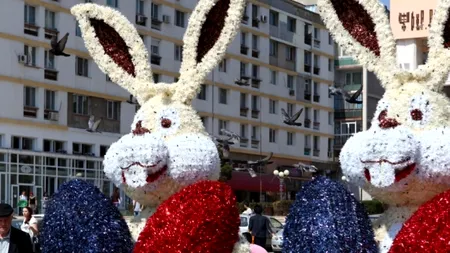 Justiție pe scara blocului. Cum a ajuns doamna Veronica Aneta din Iași să repună insulta și calomnia în Codul Penal. 