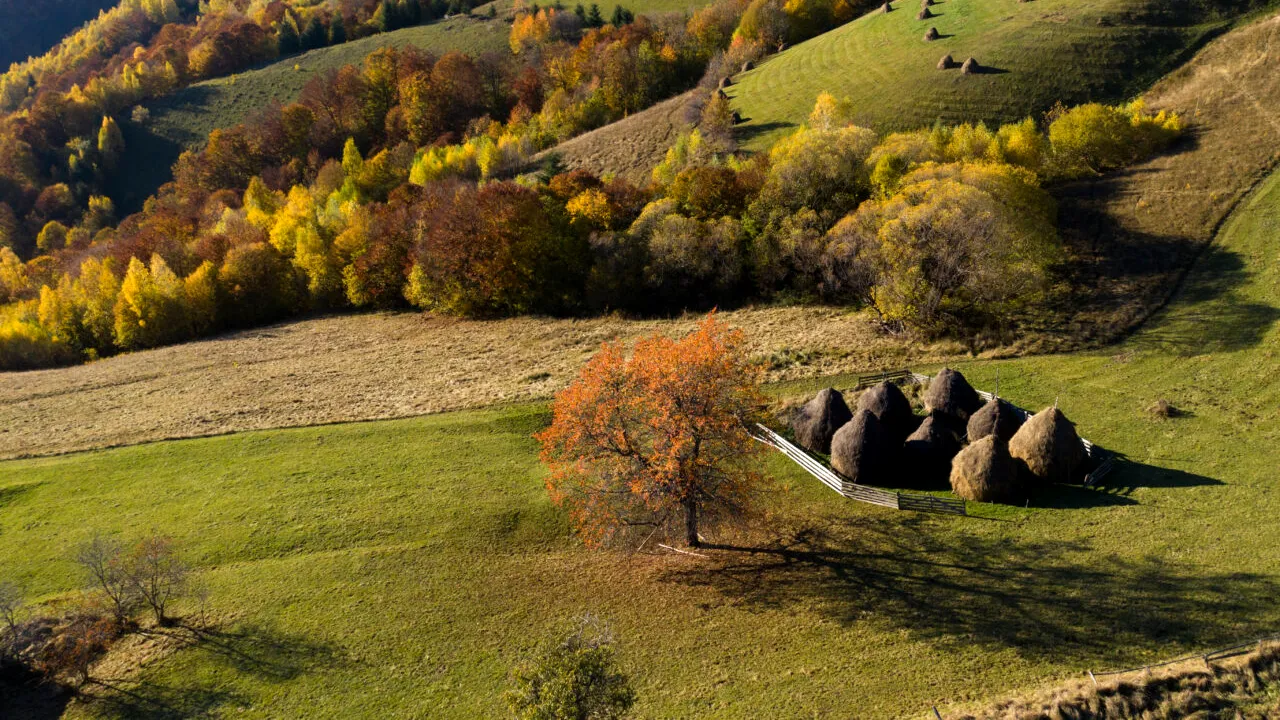 „Perla” ascunsă între Munții Bucegi și Piatra Craiului unde turiștii respiră aer curat. Aici se regăsește primul sat turistic din țară
