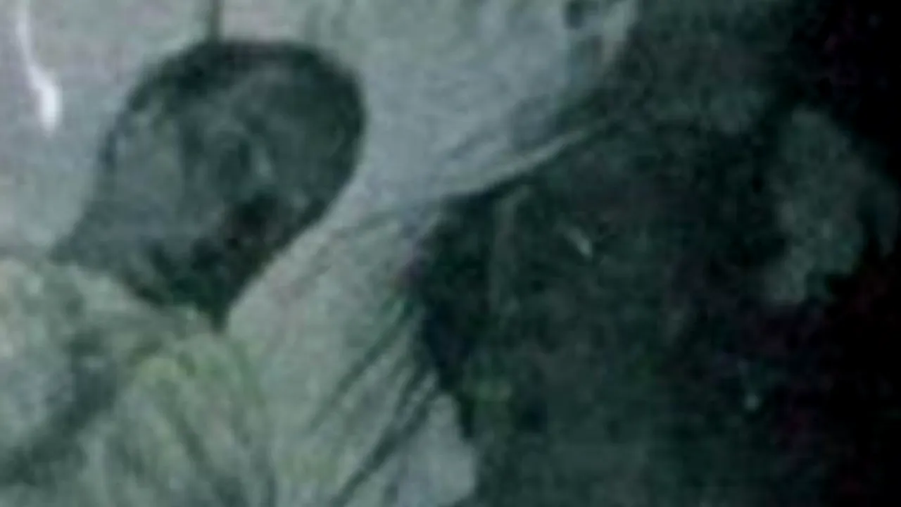 Ce a surprins un fotograf cu câteva ore înainte de moartea unui bărbat