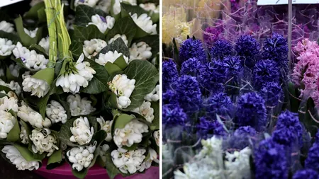 Câți lei COSTĂ un ghiocel și o zambilă, azi, de 1 Martie, în Piața Obor din București