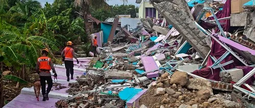 Un cutremur cu magnitudinea de 7,3 s-a produs în Indonezia