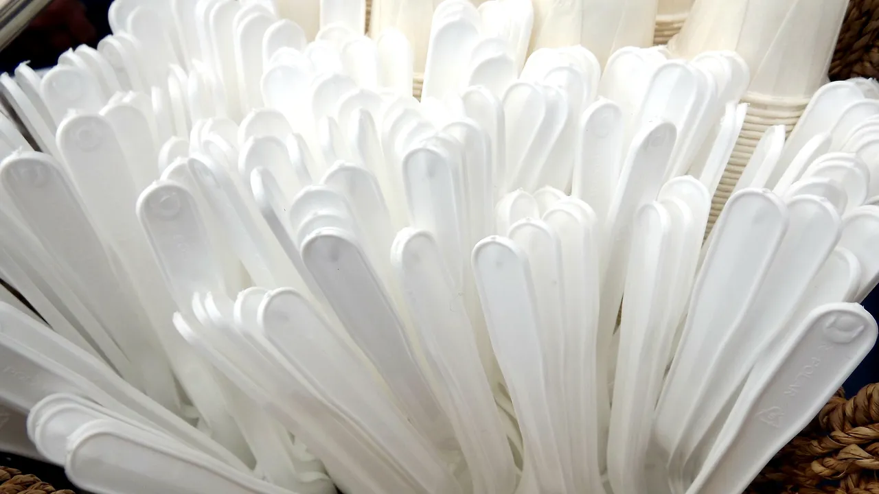 Parlamentul European a decis: Dispar tacâmurile și alte obiecte de unică folosință din plastic