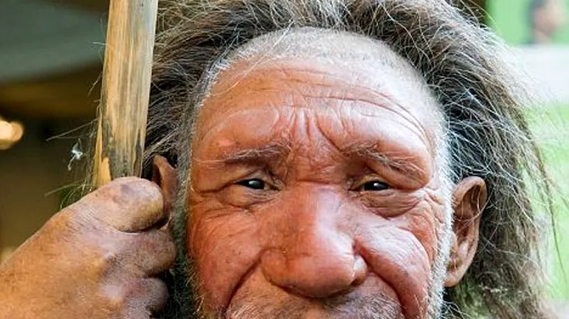 Virusuri ale omului de Neanderthal, regăsite în ADN-ul uman modern
