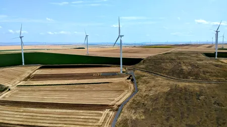Rețele Electrice Muntenia modernizează infrastructura electrică din Mogoșoaia și scoate la licitație lucrări de 58,4 mil. lei