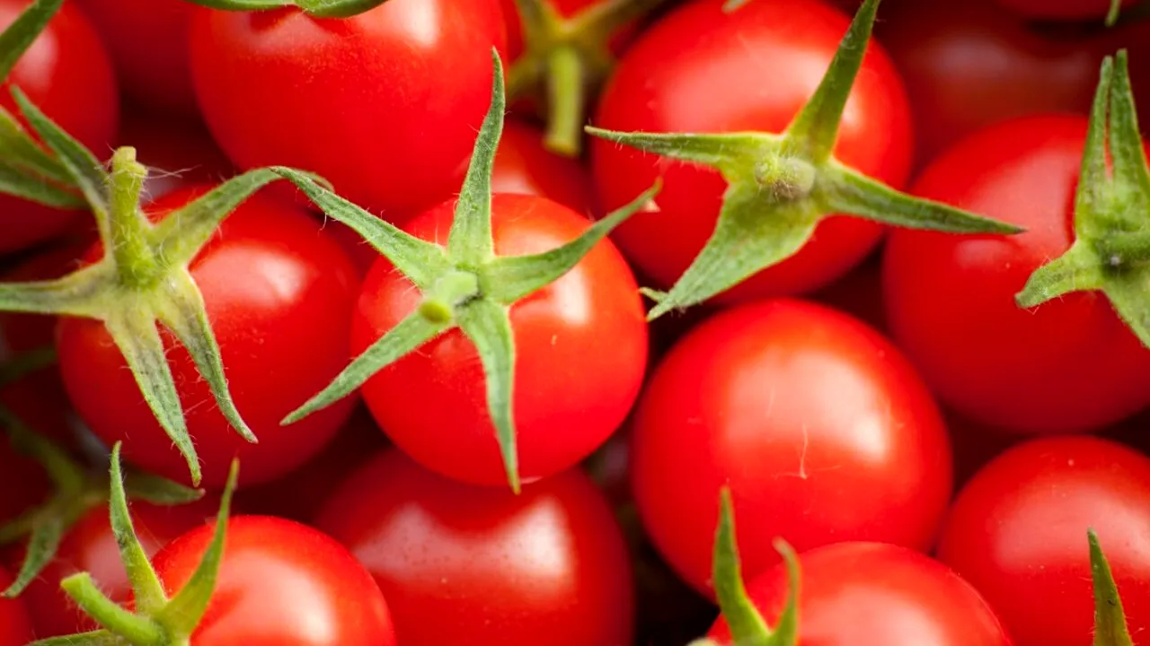 O româncă din Cluj a dat lovitura cu o AFACERE inedită cu roșii bio: „Am folosit fonduri europene nerambursabile de peste 1.000.000 de euro