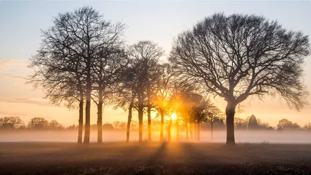 Cod galben de ceață densă în județele Tulcea și Constanța