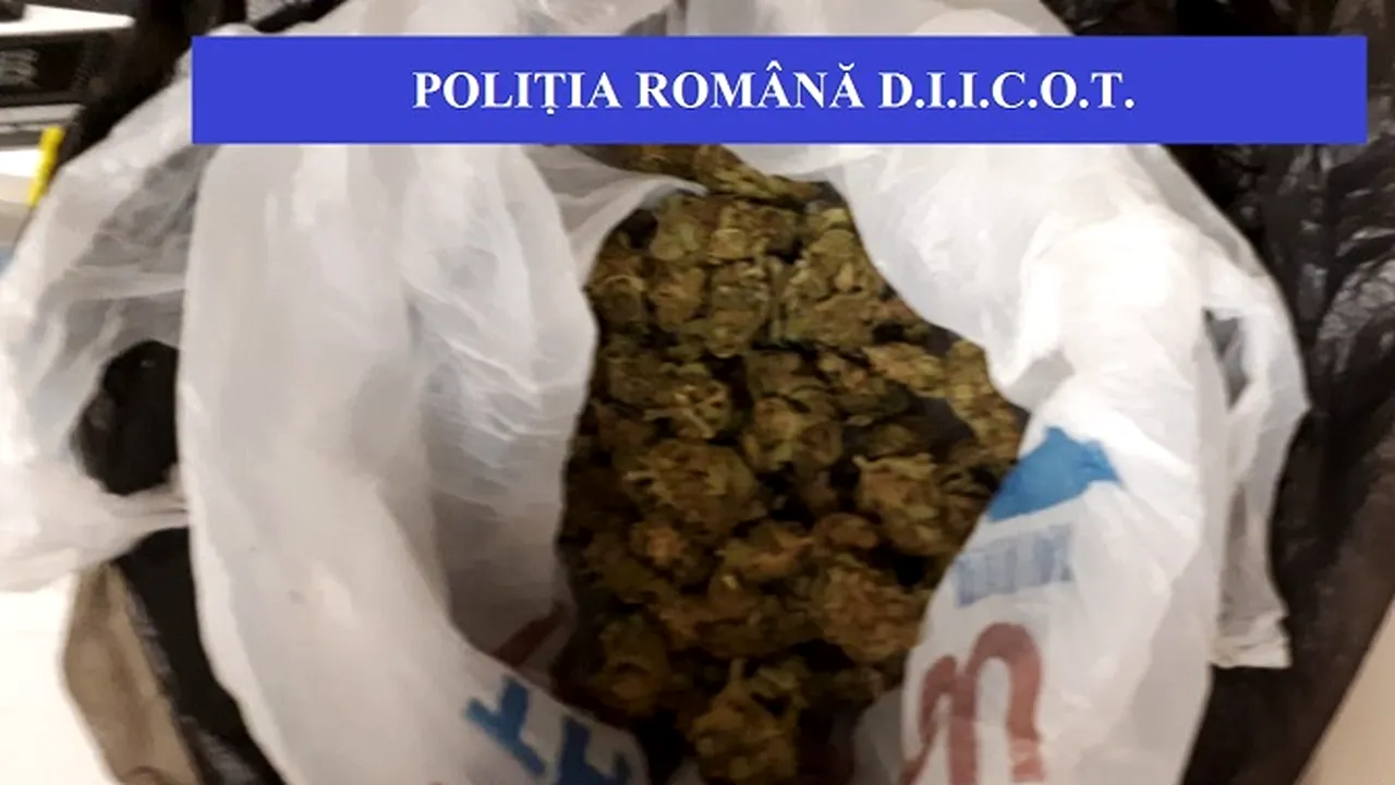 Festivalurile de muzică, raiul dealerilor de droguri: Cinci persoane au fost arestate preventiv pentru trafic și consum de droguri de mare risc - GALERIE FOTO