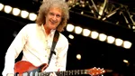 Brian May, chitaristul Queen, nu mai poate planta narcise în satul în care locuiește. Care este motivul