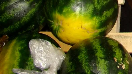 Le-au zis polițiștilor de frontieră că transportau pepeni și cartofi. Când le-au fost verificate TIR-urile, au avut surpriza vieții lor