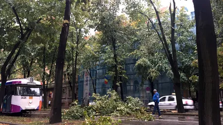 Robu, despre sirenele de alarmare în caz de dezastru: Un mijloc primitiv, doar derutezi oamenii. Soluția propusă de primarul orașului în care au murit oameni