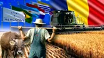 Scandalul acordului UE-Mercosur. Ce pierde și ce câștigă România? Cum va juca țara și ce va exporta? Un fermier și trei economiști răspund