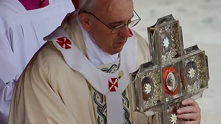 Papa Francisc pledează pentru garanții juridice de protejare a fătului din momentul concepției