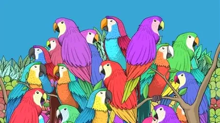 Iluzie optică virală | Ești un geniu dacă găsești fluturele ascuns printre acești papagali, în cel mult 5 secunde