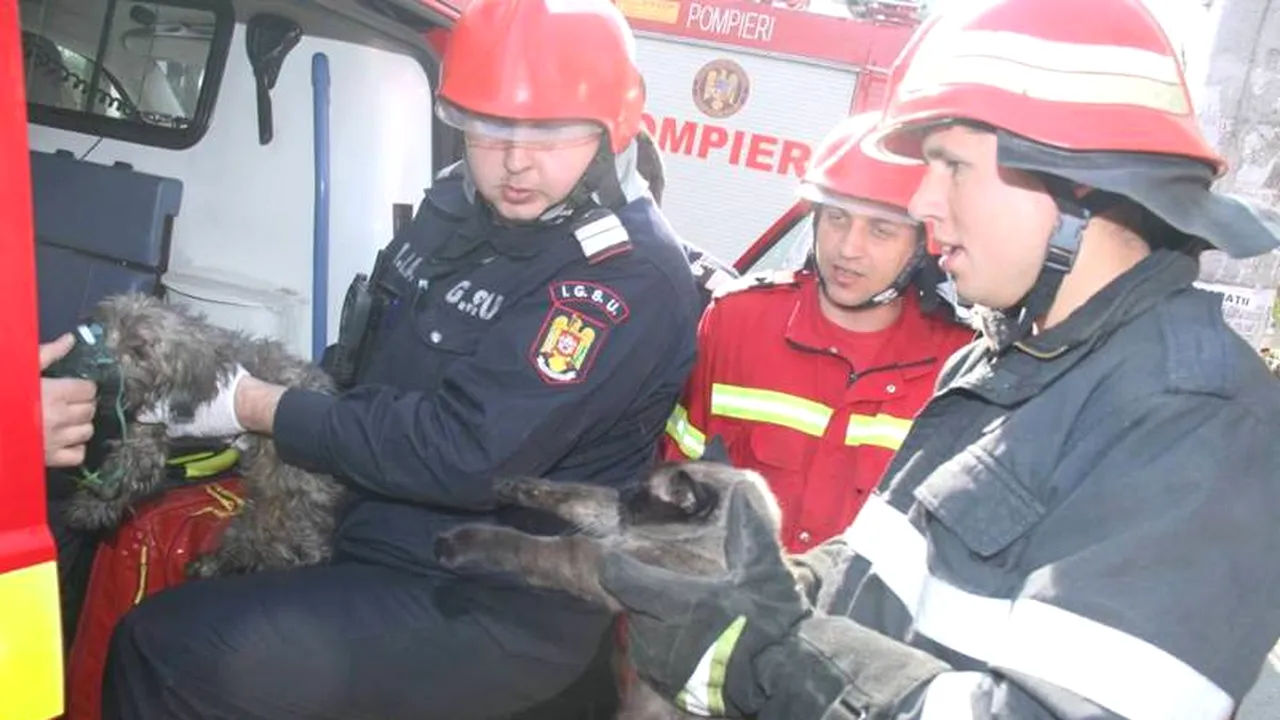 Imaginile devenite virale pe Facebook. 