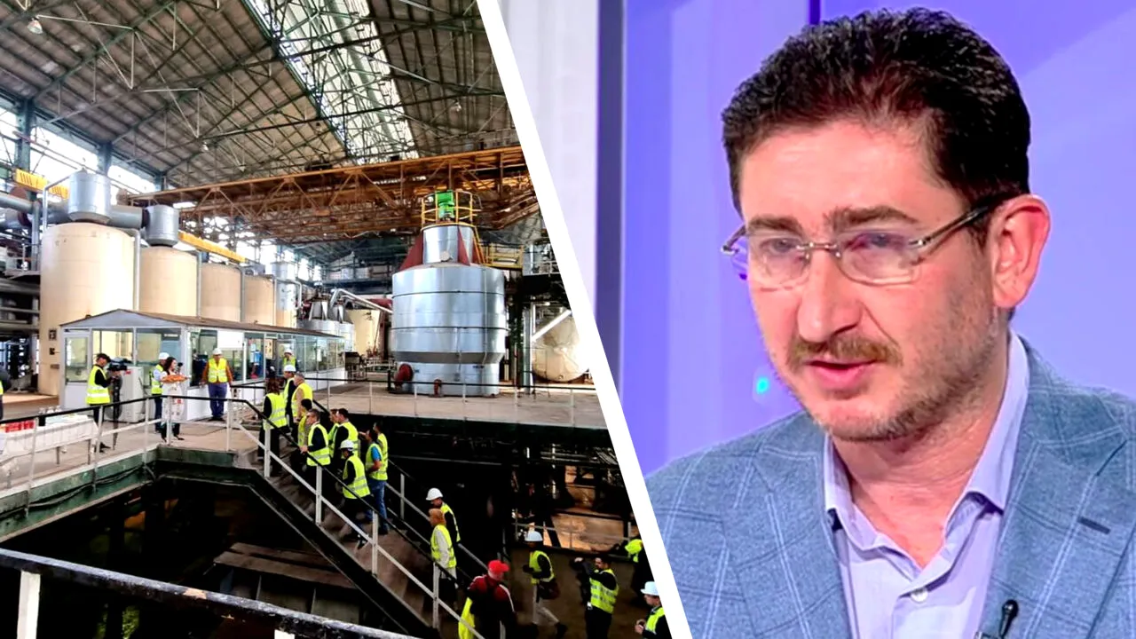 Consiliul Concurenței aprobă preluarea Fabricii de Zahăr Luduș de către Mihaela Elena Neagu