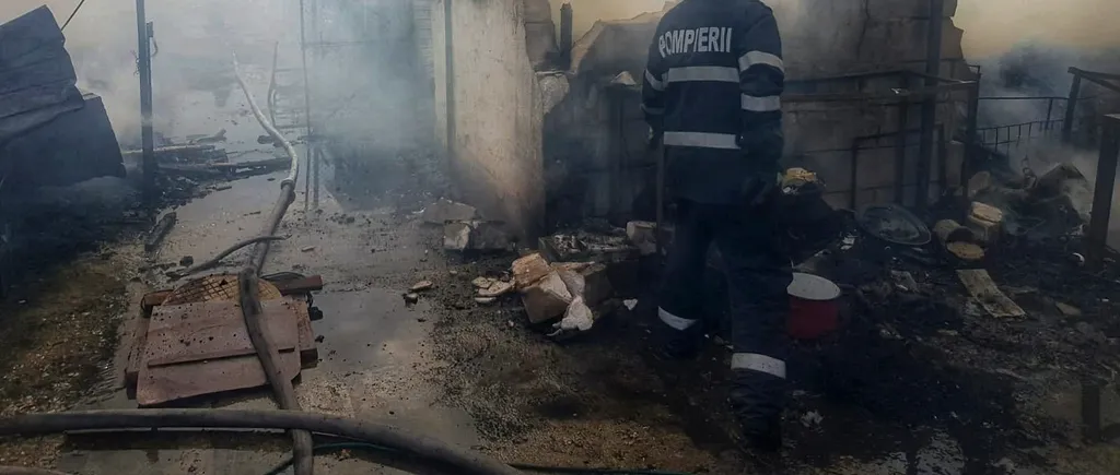 Incendiu violent la o gospodărie din Giurgiu. Mai multe animale au ars de vii