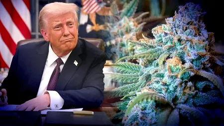 Administrația Trump schimbă reclasifică canabisului ca fiind mai puțin periculos. Ce înseamnă noua clasificare anunțată de Statele Unite