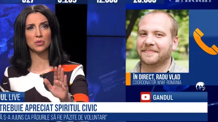 GÂNDUL LIVE. Coordonator WWF, despre defrișările ilegale: Există soluții imediate care trebuie transpuse sub forma unui pachet legislativ