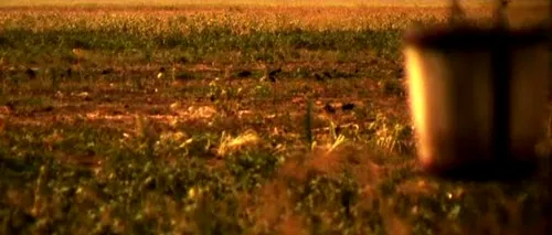 „ROMÂNIA, TE IUBESC!, sezonul 9, revine la ProTV cu o anchetă despre agricultură și sistemul de irigații 