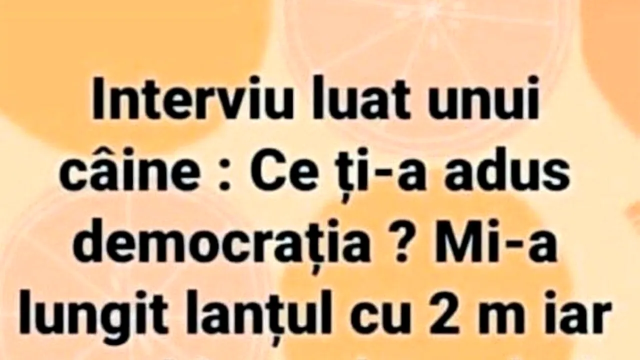 BANCUL de sâmbătă | Câinele și democrația