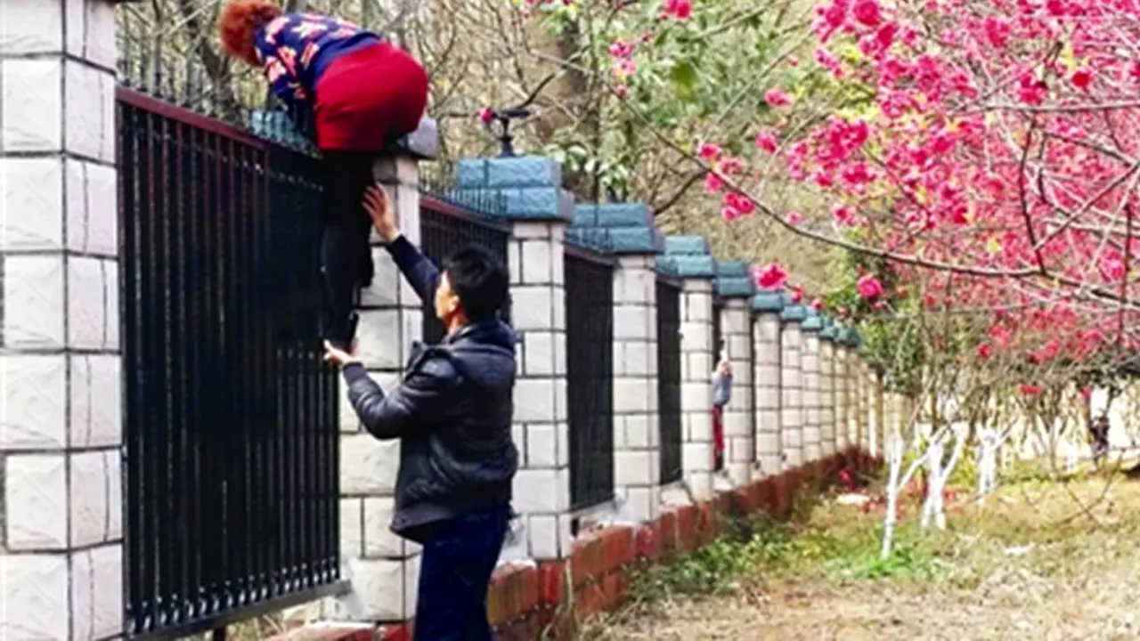 Închisoarea la care oamenii sar gardul pentru a admira ce se află între ziduri