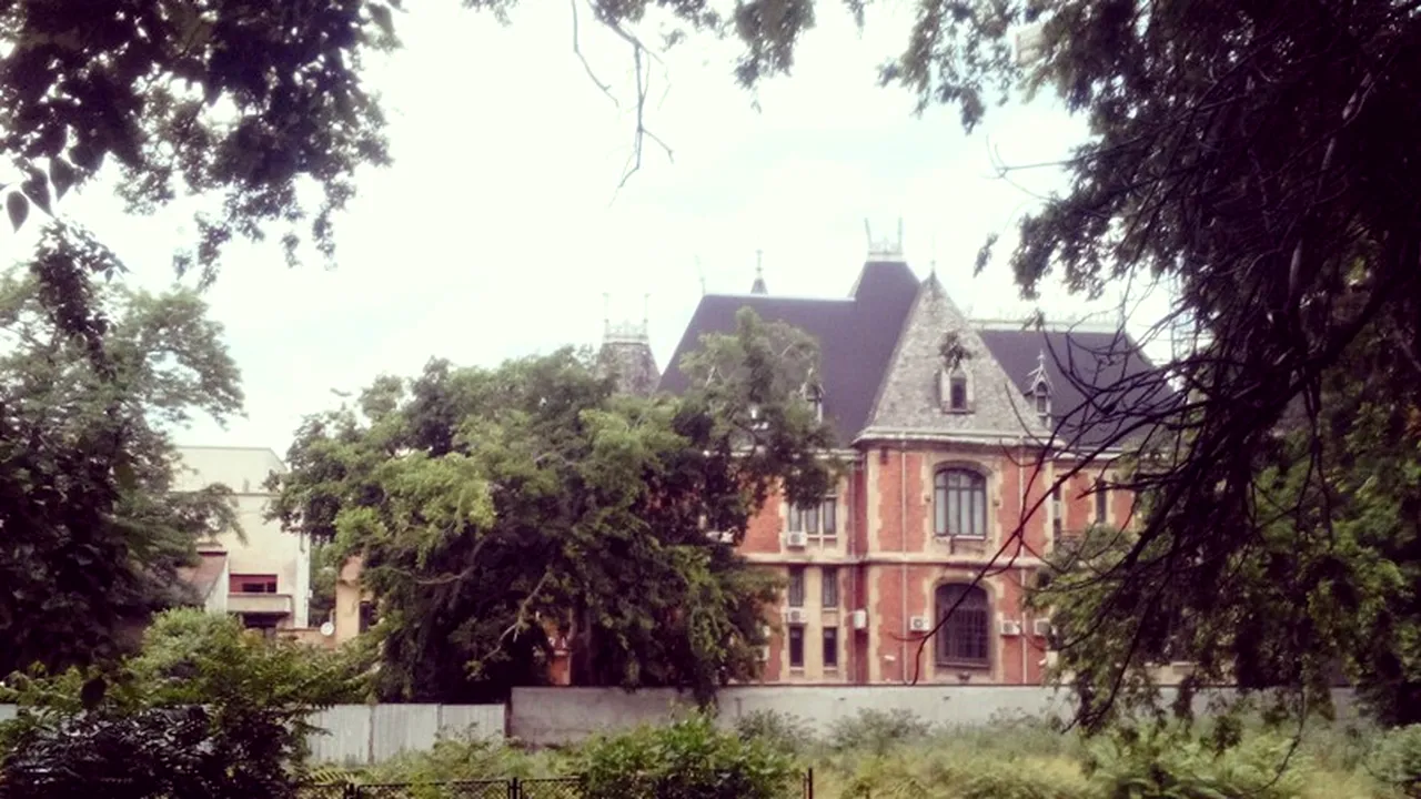 Cum poți descoperi 