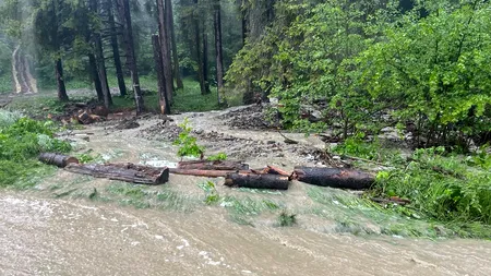 Vine potopul! Cod roșu de ploi torențiale în Prahova