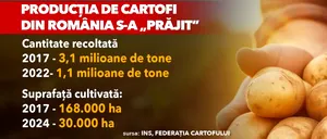Cartofii, alimentul de bază al românilor, s-a SCUMPIT cu 12% în 6 luni, din cauza importurilor. România, puternic afectată de secetă