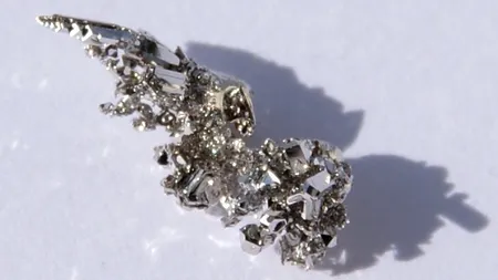 Surpriza anului 2013: 