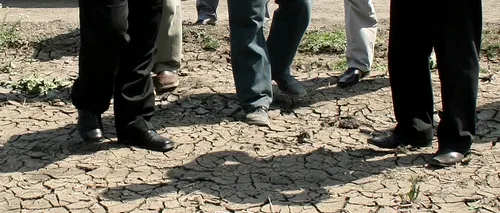 Anunțul premierului Ponta despre despăgubirile pentru terenurile afectate de secetă 