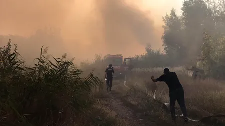 Incendiu de vegetație uscată în Iași. Ard 150 de hectare