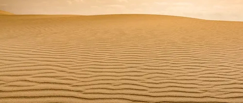De ce importă Dubai nisip. Am fost șocat să aflu că oamenii se bat pentru nisip