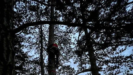 Parapantist rămas blocat într-un copac, la 15 metri de sol, pe dealul Lempeș. Bărbatul a fost coborât abia după 3 ore