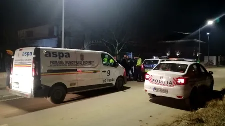 Femeie ATACATĂ de câini de luptă pe digul de pe Lacul Morii. Suma ridicolă cu care a fost amendat proprietarul câinilor periculoși