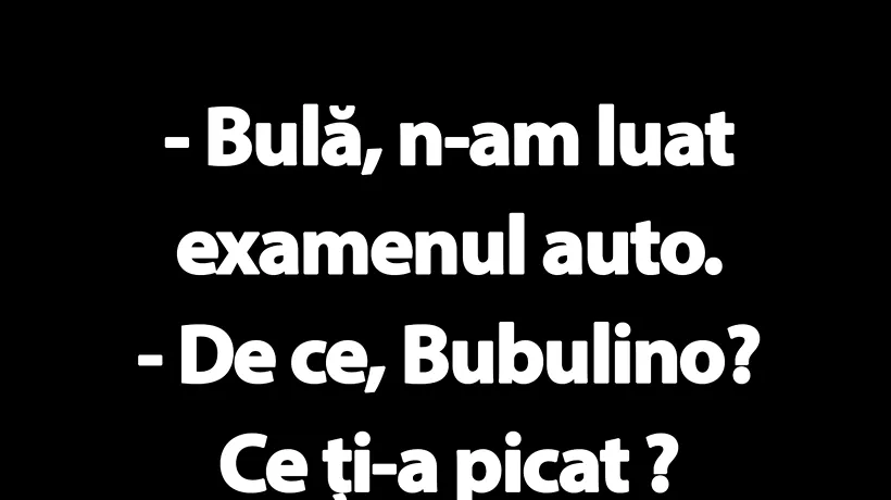 BANC | Bulă, Bubulina și examenul auto