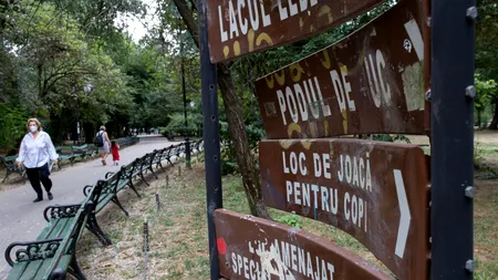 Imaginile dezastrului din marile parcuri bucureștene: locurile de joacă din Cișmigiu pline de excremente, aleile rupte din Herăstrău și paragina din Tineretului | GALERIE FOTO