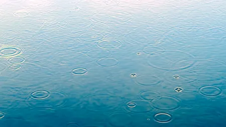 Doi frați care se aflau la pescuit pe o baltă din Mangalia s-au electrocutat şi au murit. Poliţiştii au deschis un dosar penal