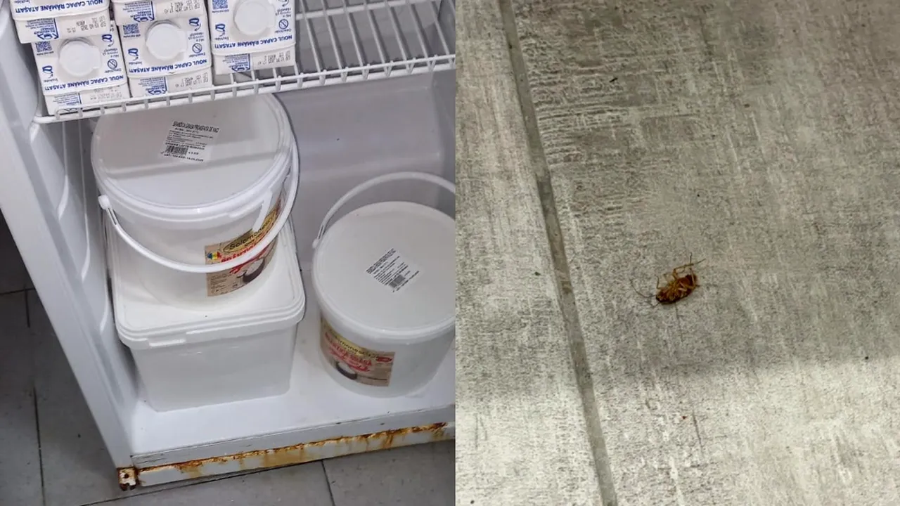 Piedone și inspectorii ANPC, razie în hotelurile și restaurantele de pe LITORAL. Gândaci și mizerie în mai multe localuri