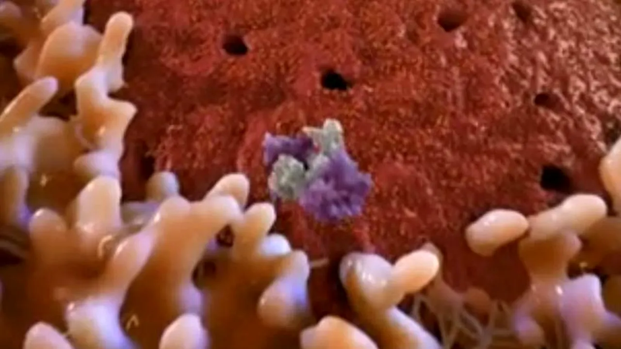 Care sunt „misterele lumii nevăzute